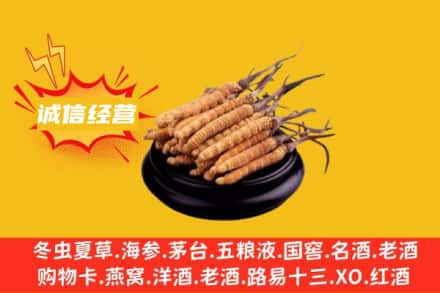 江门回收冬虫夏草